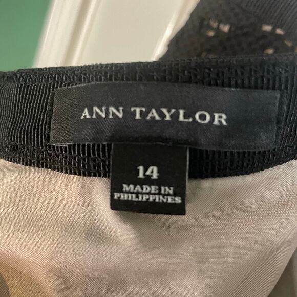 Ann Taylor Black Cutout Lace A-Line Mini Skirt Nude Lining Ruffle Skirt Size 14 - Picture 2 of 6